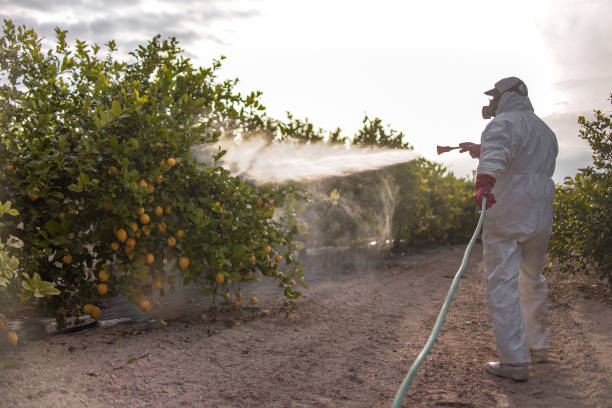 Best Mosquito Control Services  in USA